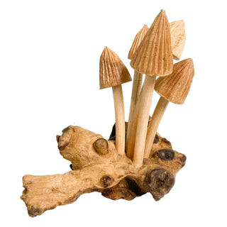 Toadstool On Log X 5