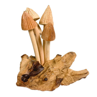 Toadstool On Log X 5