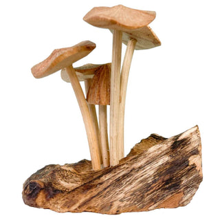 Mushrooms On Log X 4