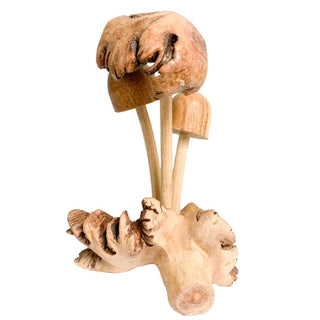 Parasite Mushroom Assorted X 3
