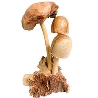 Parasite Mushroom Assorted X 3