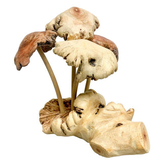 Parasite Mushroom X 5