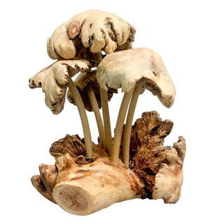 Parasite Mushroom X 5