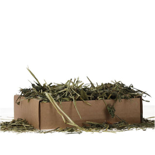 Pro Rep Tortoise leaf foraging tray