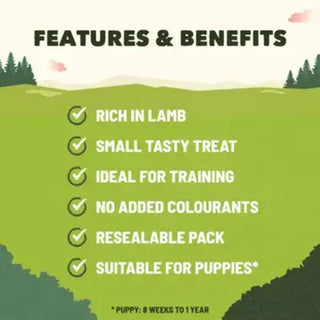 Purina Adventuros Training Treats - Lamb