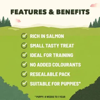 Purina Adventuros Training Treats - Salmon