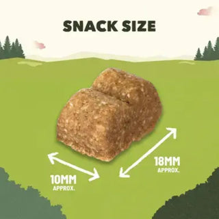 Purina Adventuros Training Treats - Salmon