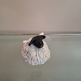 Welsh Sheep Medium