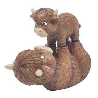Brown Highland Cow With Calf