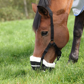 FreeGraze Deluxe AirFlow Grazing Muzzle