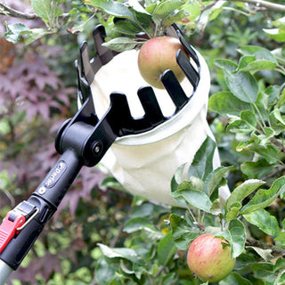 Darlac Expert Fruit Pick Basket
