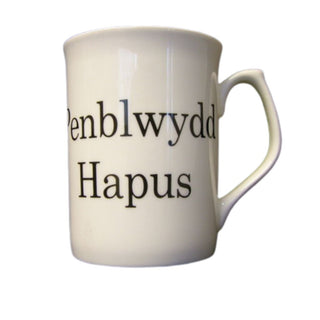 Welsh Language Pemblwydd Hapus Bone China Mug