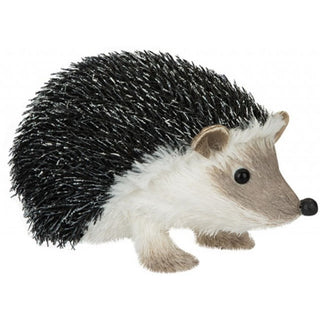 Winterwood Hedgehog