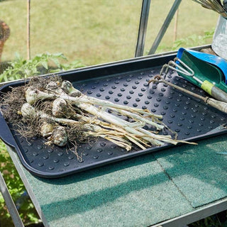 Tidy Tray