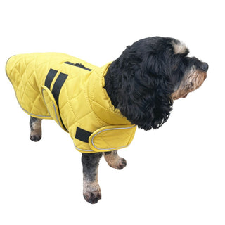Quilted Classic Dog Coat Mustard