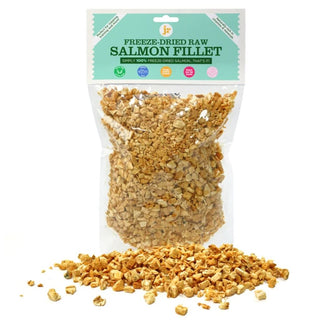 Jr Pets Freeze Dried Salmon Fillet