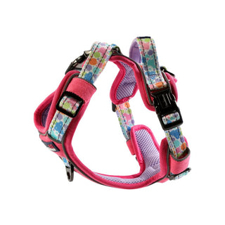 Doodlebone With Me Harness Pastel Paint Splat