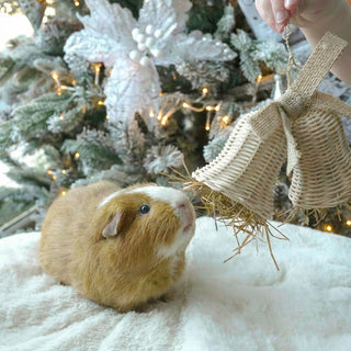 Comet & Cupid Rattan Bells