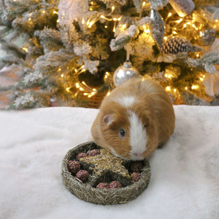 Naturals Star 'N' Truffles Forage Tray