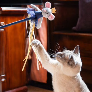 Marie Mouse