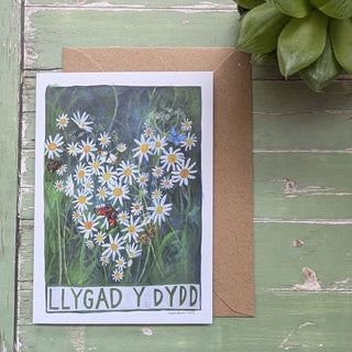 Llygad Y Dydd Greetings Card