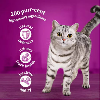 Whiskas 7+ Poultry Feast Pouches in Gravy 12 pack