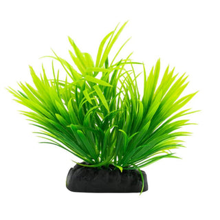 AQ Anubis on Log Green
