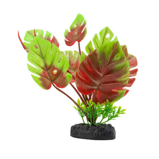 AQ Monstera Plant Red