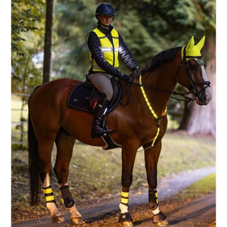 Woof Wear LED Hi Vis Riding Vest with Powerbank