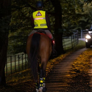 Woof Wear LED Hi Vis Riding Vest with Powerbank