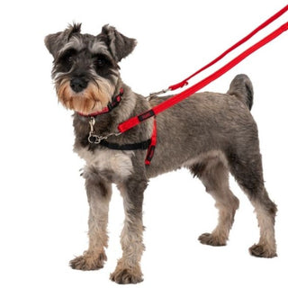 Halti Front Harness