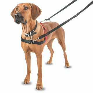 Halti Front Harness