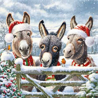 Christmas Traditional Boxed Cards