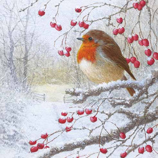 Christmas Traditional Boxed Cards