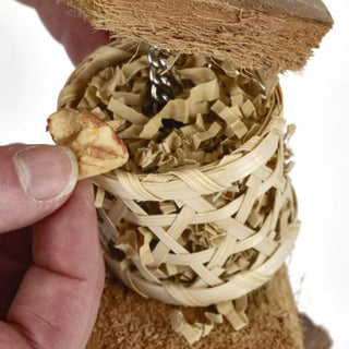 Naturals Lantern Duo Forager Bird Toy