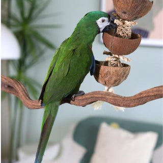 Naturals Coco Foraging Tower