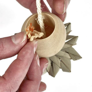 Naturals Foraging Cup Challenge