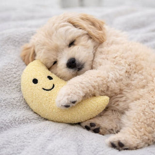 Tiny Tails Yellow Molly Moon Puppy Toy