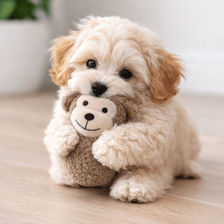 Tiny Tails Latte Ball Belly Monkey Max Puppy Toy