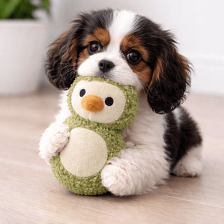 Tiny Tails Sage Ball Belly Penguin Pedro Puppy Toy