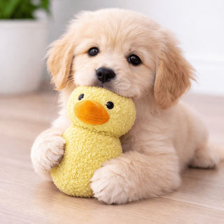 Tiny Tails Yellow Ball Belly Chick Chico Puppy Toy