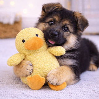 Tiny Tails Yellow Chick Clifford Puppy Toy