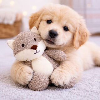Tiny Tails Latte Fox Freddie Puppy Toy