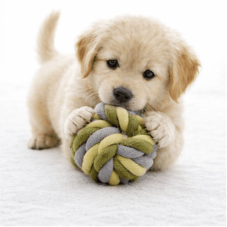Tiny Tails Multi Rope Fetch Ball Puppy Toy