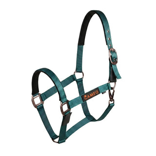 Cameo Fieldsafe Headcollar