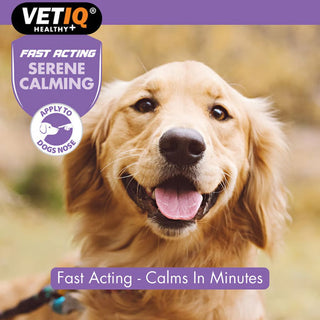 VETIQ Serene Calming Ointment 50g