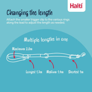 Halti Nylon Training Lead