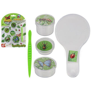 Insect Studying Set