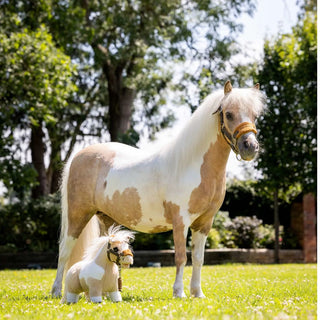 LeMieux Toy Pony Lemon