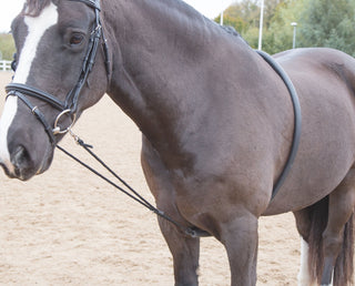 Arma Soft Lunging Aid Black Onesize